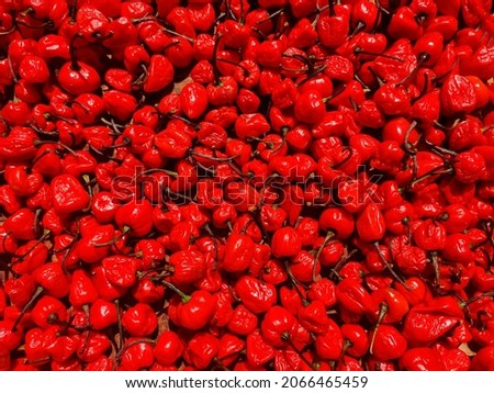 red chili pepper background, Scotch Bonnet Red chili. red cherry ball pepper, pimento, or sweet chilly peppers set background wallpaper. Many red peppers are put together. Royalty-Free Stock Photo #2066465459