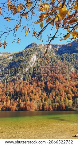 mountain landscape in autumn colors