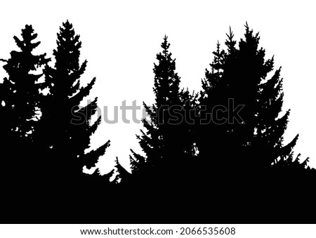 Silhouette of fir trees. Black and white vector illustration