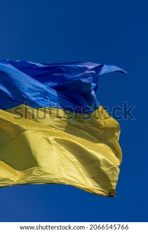 State blue and yellow flag of Ukraine in the park on a flagpole against the sky