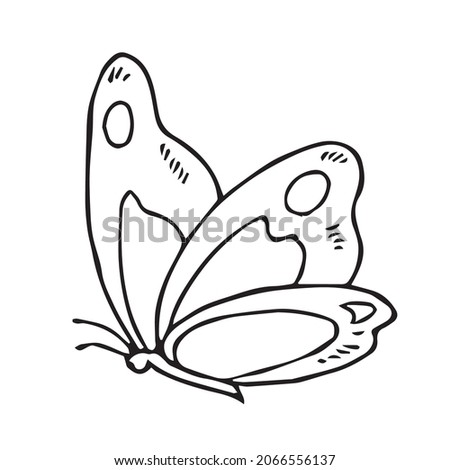 Butterfly Beautiful line art,Butterfly sketch,vector art,outline drawing illustration