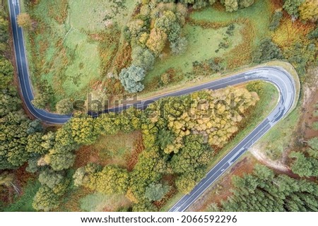 Aerial zenith view of the curves of a mountain road through oak forests.