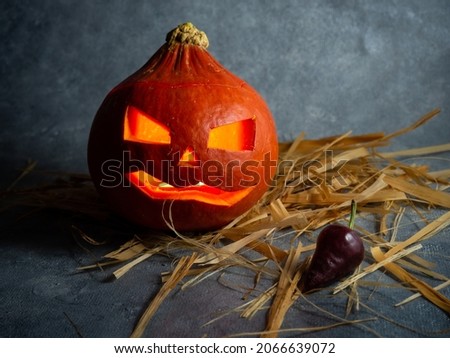 Halloween pumpkin and chili pepper in the dark. All Saints' Day
