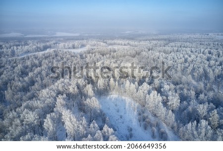 Aerial photo of birch forest in winter season. Drone shot of trees covered with hoarfrost and snow. Natural winter background.