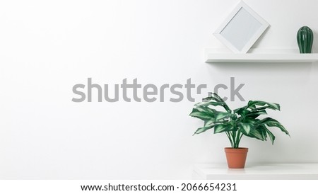 Green flower in a terakot pot on a table against a white wall background. Creative interior background. Modern interior.