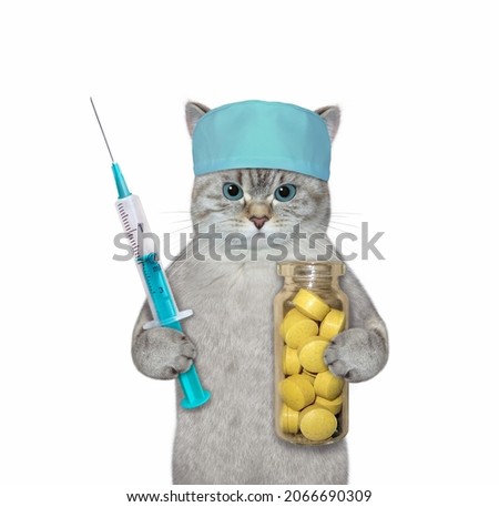 An ash cat doctor in a medical hat holds a syringe and a bottle of pills. Coronavirus. White background. Isolated.