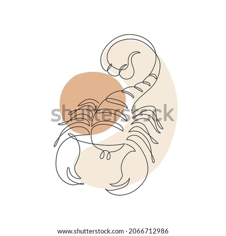Astrological Scorpio zodiac sign one line drawing. Elegant astrology emblem, symbol outline, contour for mystic logo, calendar print in boho minimal style. Horoscope vector abstract art Royalty-Free Stock Photo #2066712986