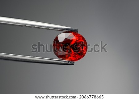 Songea natural red sapphire gemstone. Beryllium treated, color enhanced natural mined corundum. Clean, transparent precious gem setting for making jewelry. Holded in tweezers on gray background. 