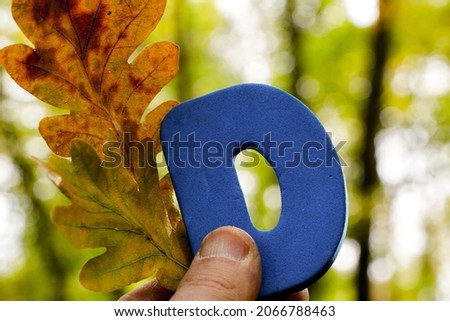 Letter D against the background of autumn leaves. Vitamin D concept