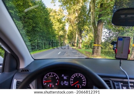 Beautiful German roads outside the city, trees along the roads with reflective signs, view from the car, navigation system in the car, selectiv focus