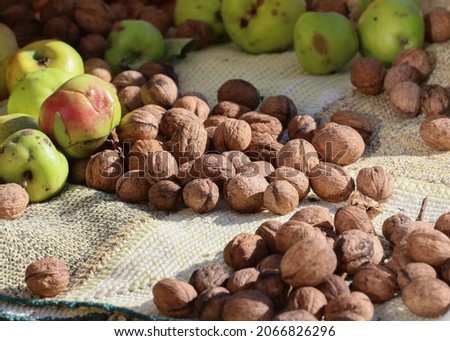 Closeup picture of a pile of walnuts and autumn apples spread on a handmade cloth, outdoor shot