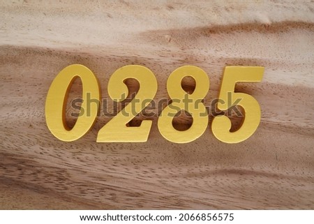 Gold Arabic numerals 0285 on a dark brown to white wood grain background.