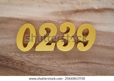 Golden Arabic numerals 0239 on a dark brown to white wood grain background.