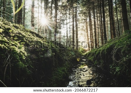 Sunset Sunstar in the forste by a river Royalty-Free Stock Photo #2066872217