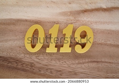 Golden Arabic numerals 0119 on a dark brown to white wood grain background.