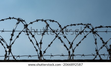 barbed twisted wire. protection from thieves. security system. advertising picture.