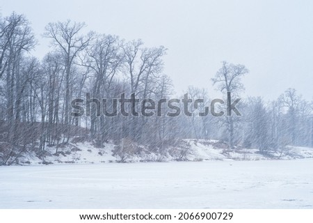 Winter landscape of a lake with an oak grove during a heavy snowstorm. Background. Royalty-Free Stock Photo #2066900729