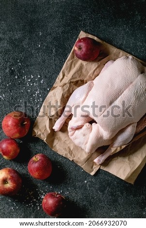 Raw organic uncooked young whole duck on crumpled paper with salt and gardening red apples around over black texture background. Top view
