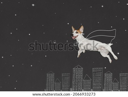 Dog in superhero costume flying in night town, drawing on the blackboard . Super hero winner concept.
