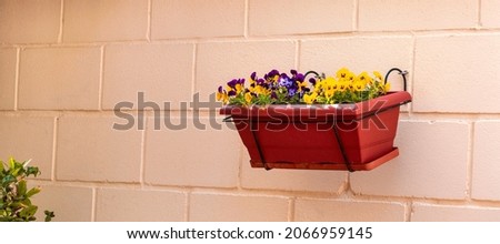 Rectangular flower pot with flowers on a wall in a terrace of a bungalow