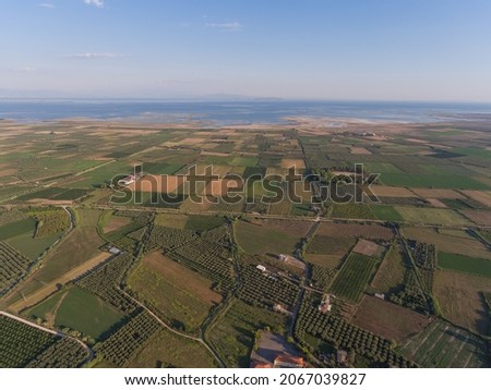 Aerial view of trees and agricultural farm crops in Greece