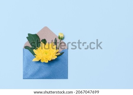 Flowers in an open envelope on pastel blue background. Blue envelope with yellow roses. Concept of sending greetings, love, friendship and joy.