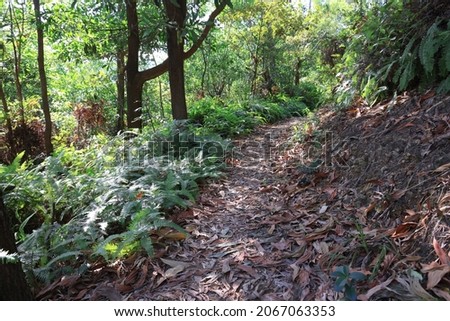 17 Oct 2021 the landscape of Razor Hill, hong kong Royalty-Free Stock Photo #2067063353