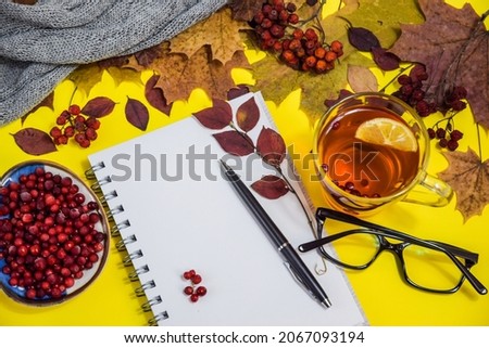 A cup of tea with lemon and cranberries with autumn leaves, a notebook. Autumn mood. a place to copy. Blank notebook surrounded by autumn leaves. Still life with tea, books and autumn leaves