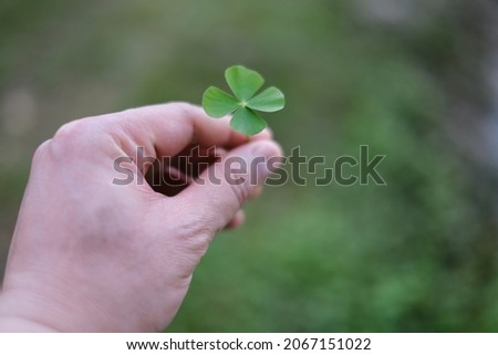 A hand picking up a green 4 leaf clover from a garden, saving it as a good luck charm. The four leaves represent hope, faith, love and luck.