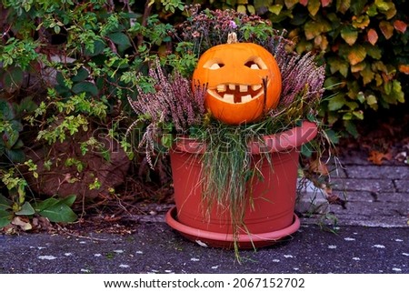Halloween pumpkin with funny face in a flower pot together with heath