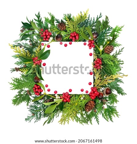 Christmas background with winter holly, greenery and loose red berries. Abstract square border composition on white. Design element with copy space. Top view.