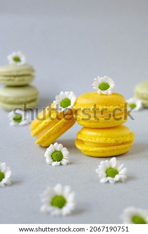Yellow and green macaroons on a gray-blue background with flowers. A bright picture with sweets. Macaroons on a light background.