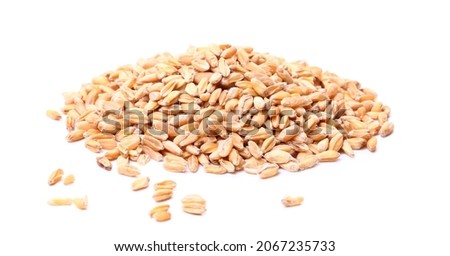 Chinese herbal medicine floating wheat Royalty-Free Stock Photo #2067235733