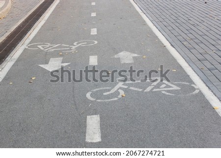 Bicycle road sign on asphalt Bicycle path in the morning in the city in summer with elms Direction of movement of the bike Cycle path direction sign painted on the carriageway on the city street of
