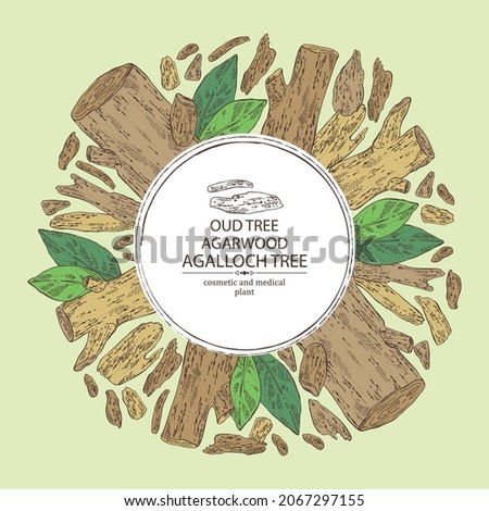 Background agar wood: oud tree, leaves and piece of agar wood. Agalloch tree. Perfumery, cosmetics and medical plant. Vector hand drawn illustration