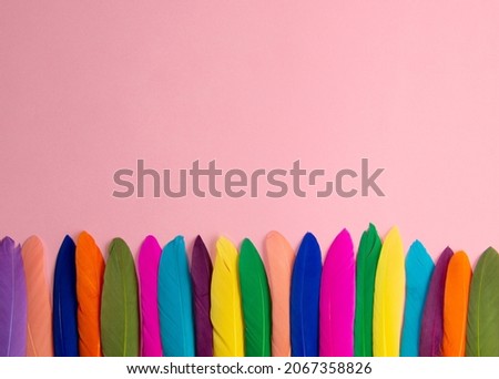 Colorful feathers forming  a line against pastel pink background. Copy space. Exotic summer inspiration.