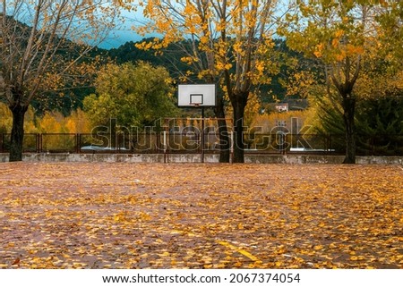 Schoolyard with the ground covered in leaves and a basket on a rainy fall or winter day. 