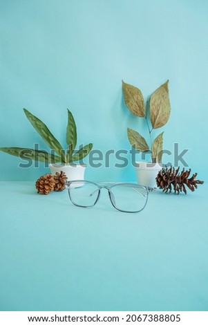 vertical photo. glasses, pine flowers and green leaves on pink paper background. minimalist concept idea
