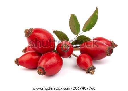 Rosehips ( Rosa Canina fruits), isolated on white background. Royalty-Free Stock Photo #2067407960