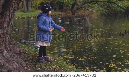 Young Caucasian Girl in Warm Jacket Feeding Ducks Swimming in Park Pond on Beautiful Autumn Day