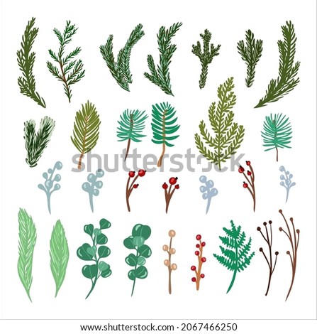 Christmas floral leave and berries collection. Set of winter branches of spruce, pine, eucalyptus, leaf and other. Vector illustration