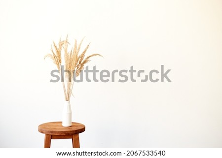 Branches of pampas grass in vase on light background. Interior decoration. Copy space
