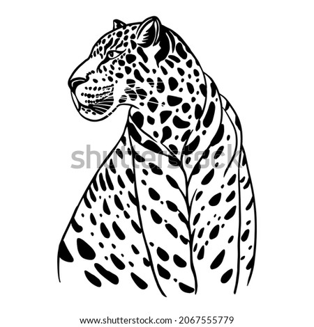 African wild cat leopard black white vector illustration print for tattoo, t-shirt, cover, poster.