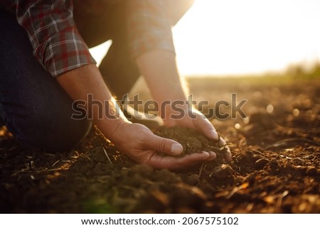 Male hands touching soil on the field. Expert hand of farmer checking soil health before growth a seed of vegetable or plant seedling. Business or ecology concept. Royalty-Free Stock Photo #2067575102