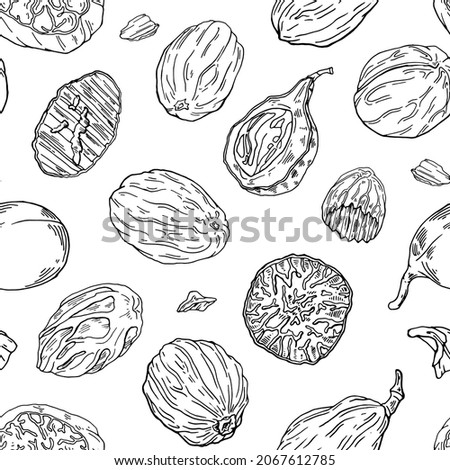 Ink Hand drawn Nutmeg seamless pattern. Branch, nuts, buds and leaves. Stylish black and white vector illustration. Exotic spice. Endless texture. Botanical background Royalty-Free Stock Photo #2067612785