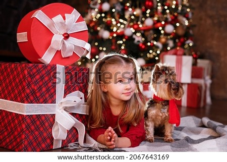 porter girl and terrier with Christmas gifts for Christmas. New Year's mood