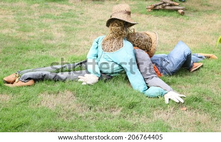 Scarecrows back view sitting in grass