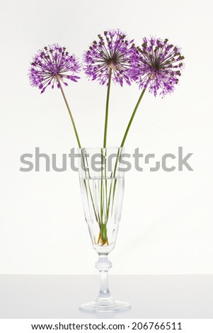 macro Lily of the valley and decorative onions studio on white background