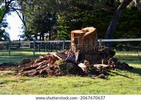 Storm damage on rural Mornington Peninsula property with uprooted tree stump cut back by chainsaw Royalty-Free Stock Photo #2067670637