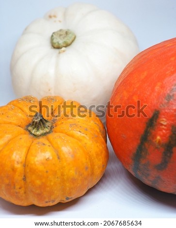 Different types of squash against a white background